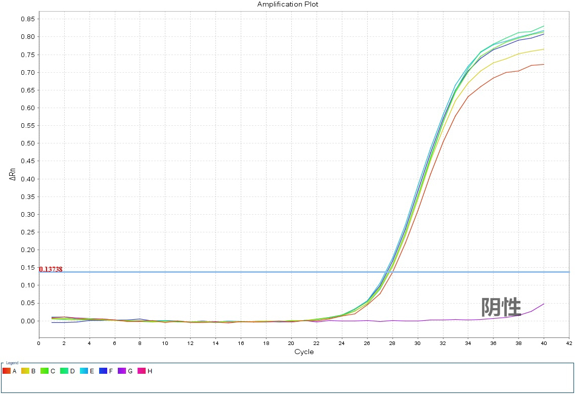 simgen-病毒核酸纯化试剂盒-Carrier RNA-2×One Step Probe RT-PCR Mix-扩增曲线图