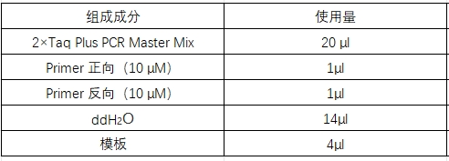 Simgen-快速DNA提取检测试剂盒，2×Taq Plus PCR Master -配置PCR扩增体系，加1/10体积模板进行PCR扩增