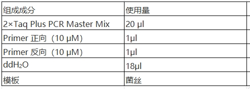 Simgen-快速DNA提取检测试剂盒，2×Taq Plus PCR Master -配置PCR扩增体系，将菌丝直接加入体系中进行PCR扩增